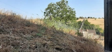 FERMETTE A RÉNOVER AVEC SES DÉPENDANCES, SUR 2,7 HA DE TERRAIN DANS CADRE BUCOLIQUE. 