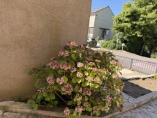 Maison à vendre 3 pièces SEREMANGE ERZANGE (57)