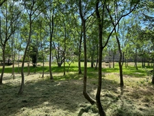 CHARMANT ENSEMBLE IMMOBILIER, 2 LOGEMENTS, 247 m², 7 CHAMBRES et dépendances SUR 4 Ha JOLIMENT ARBORÉS