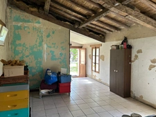 CHARMANT ENSEMBLE IMMOBILIER, 2 LOGEMENTS, 247 m², 7 CHAMBRES et dépendances SUR 4 Ha JOLIMENT ARBORÉS