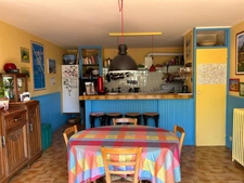 CHARMANT ENSEMBLE IMMOBILIER, 2 LOGEMENTS, 247 m², 7 CHAMBRES et dépendances SUR 4 Ha JOLIMENT ARBORÉS