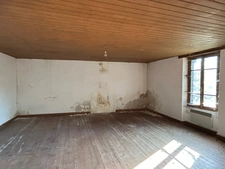 ENSEMBLE DE TROIS BÂTISSES (166, 42 et 36 m²) A RESTAURER ENTIÈREMENT, SUR 1382 M² AU CALME ET SANS VIS A VIS !!