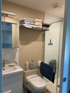 CHARMANT ENSEMBLE IMMOBILIER, 2 LOGEMENTS, 247 m², 7 CHAMBRES et dépendances SUR 4 Ha JOLIMENT ARBORÉS