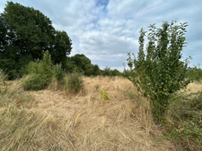 TERRAIN A VENDRE 909 M² EN ÉCO-LOTISSEMENT !!