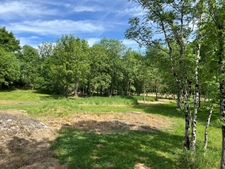 CHARMANT ENSEMBLE IMMOBILIER, 2 LOGEMENTS, 247 m², 7 CHAMBRES et dépendances SUR 4 Ha JOLIMENT ARBORÉS