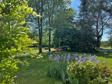 CHARMANT ENSEMBLE IMMOBILIER, 2 LOGEMENTS, 247 m², 7 CHAMBRES et dépendances SUR 4 Ha JOLIMENT ARBORÉS