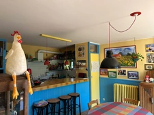 CHARMANT ENSEMBLE IMMOBILIER, 2 LOGEMENTS, 247 m², 7 CHAMBRES et dépendances SUR 4 Ha JOLIMENT ARBORÉS