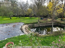 TRÈS AGRÉABLE PLAIN-PIED LUMINEUX, GRAND SÉJOUR, 2 CHAMBRES, TERRASSE 190 M² SUD & EST, SUR 2677 m² EN BORDURE DE SÈVRE.