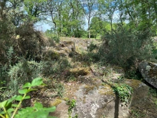 CHARMANT ENSEMBLE IMMOBILIER, 2 LOGEMENTS, 247 m², 7 CHAMBRES et dépendances SUR 4 Ha JOLIMENT ARBORÉS