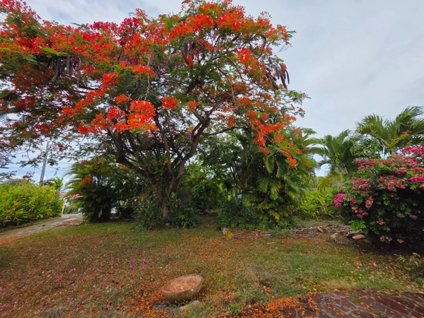 Belle villa traditionnelle sur magnifique terrain de 1290 m²