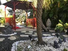 Near town, villa with swimming pool and gazebo in SAINT FRANCOIS (971)