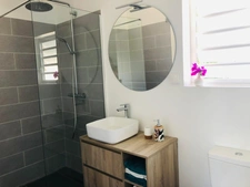 BEAUTIFUL HOUSE + STUDIO AND POOL IN BAIE MAHAULT (971)