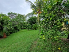 DESHAIES, Villa plage à pied, 2 bungalow, garage et piscine, sur 1 965 m² de terrain arboré