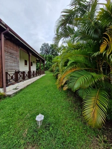 DESHAIES, Villa plage à pied, 2 bungalow, garage et piscine, sur 1 965 m² de terrain arboré