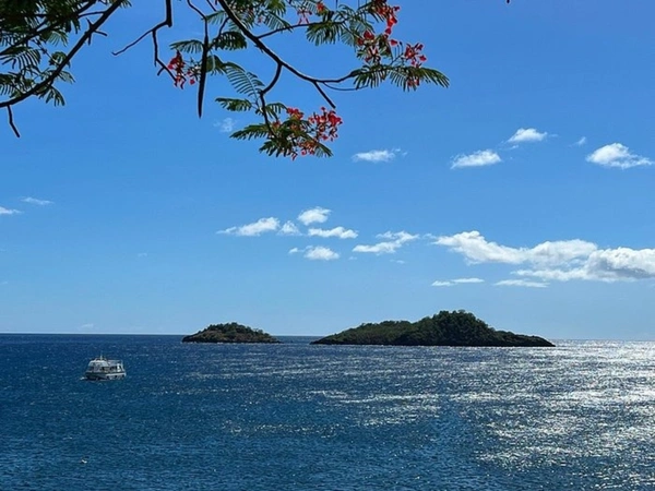 VUE MER VILLA + 3 BUNGALOWS avec piscine 8500 m² de terrain 