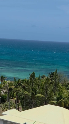SPECIAL INVESTOR OPPORTUNITY: VILLA WITH PANORAMIC SEA VIEW, SAINT FRANCOIS (971)