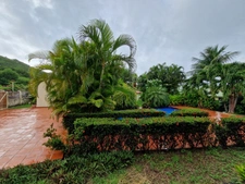 DESHAIES, Villa plage à pied, 2 bungalow, garage et piscine, sur 1 965 m² de terrain arboré