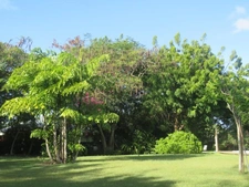 Magnifique Domaine sur plus de 4000 m² de terrain avec piscine