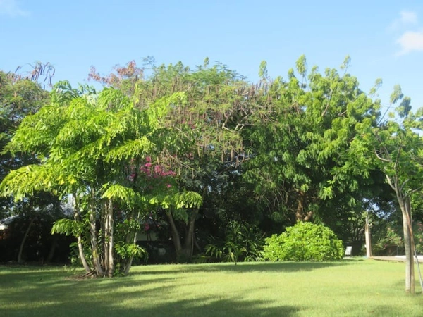 Magnifique Domaine sur plus de 4000 m² de terrain avec piscine