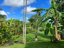 Superbe villa architecte 5CH 4 SDE avec piscine + deux bungalows avec piscine sur 4200 m² de terrain clos et plat
