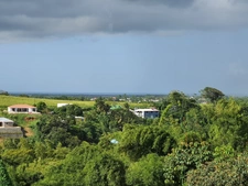 Spacious P6 architect villa with distant sea view with swimming pool on 1200 m² of wooded and enclosed land