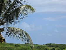 Charming house + 2-bedroom apartment and studio with small pool and distant sea view in Sainte Anne (971)