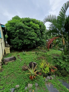 DESHAIES, Villa plage à pied, 2 bungalow, garage et piscine, sur 1 965 m² de terrain arboré