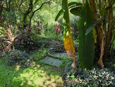 Villa 5 chambres + 2 F2 indépendants sur plus de 2400 m² de terrain