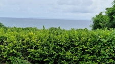 Stunning villa with SEA VIEW, bungalow and swimming pool on over 1000 m² of land