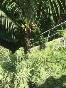 RARE VILLA DE STANDING AVEC PISCINE VUE DEGAGEE 1451 M2 DE TERRAIN