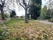 MAISON  MAS  AUTENTHIQUE sur  plus de 5 hectares