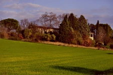 MAISON  MAS  AUTENTHIQUE sur  plus de 5 hectares
