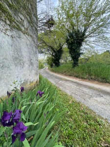 MAISON  MAS  AUTENTHIQUE sur  plus de 5 hectares
