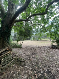 MAISON  MAS  AUTENTHIQUE sur  plus de 5 hectares