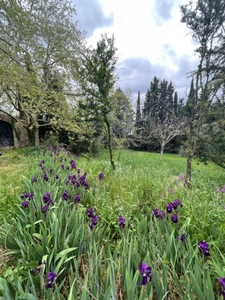 MAISON  MAS  AUTENTHIQUE sur  plus de 5 hectares