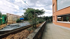 Ensemble immobilier professionnel avec hall de 600 m² et logement de service – Rottelsheim
