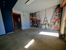 Maison à vendre 10 pièces LA WANTZENAU (67)