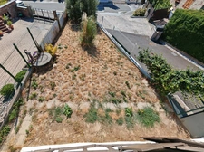 À louer – Maison alsacienne rénovée avec jardin, terrasse et 2 parking à Weyersheim