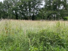 Terrain constructible dans environnement verdoyant, au calme et hors lotissement