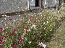 NANCAY, 12 kms de la sortie Autourte A71 SALBRIS, maison de campage avec jardin en excellent état
