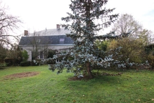 REUILLY,  commune à seulement 20' au sud de VIERZON, Maison Bourgeoise en très bon état de 200 m2