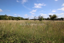 CHAUMONT SUR THARONNE, Beau terrain constructible de 3200 m2 non viabilisé