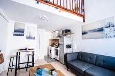 Quartier DUNOIS F1 Bis en excellent Etat vendu entièrement meublé