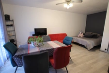 Proche Loire F1 Bis de 34 m2 avec balcon, parking, cave en excellent état