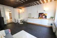 ORLEANS ST MARCEAU, proche centre ville d'Orléans, Vaste appartement T2 Bis de charme en excellent état 