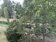 LA CHAPELLE ST MESMIN, appartement de 77m2 vendu loué en excellent état
