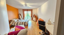 ISLE PROCHE CHU EMAILLEURS - SUPERBE VILLA EN PARTIE PLAIN PIED AVEC PISCINE ET SPA SUR MAGNIFIQUE TERRAIN ARBORE