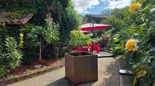 SUPERBE MAISON EN PIERRE AVEC PISCINE ET JARDIN BUCOLIQUE - UN VRAI COUP DE COEUR - 