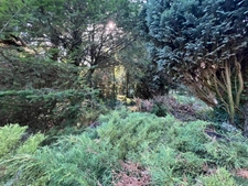 Maison à vendre 4 pièces CHAUFFAILLES (71)