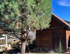 Maison à vendre 6 pièces CHAUFFAILLES (71)